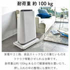 台車 丈夫な耐荷重約100kg