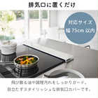 排気口カバーフラットタイプ W75