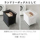 【tower タワー】手荷物収納ボックス