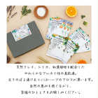 天然泥とアロマのまろやか美肌湯 バスパウダー7日セット ギフトボックス入り