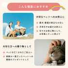 ペットに贈る バラのメモリアルアレンジメント[オリジナル虹ピック付]