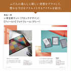 [大和 カタログギフト] ミストラル e-order choice プルメリア-C [カードタイプ]