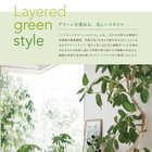 [大和 カタログギフト] ミストラル e-order choice プルメリア-C [カードタイプ]