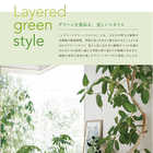 [大和 カタログギフト] ミストラル e-order choice イングリッシュラベンダー-C [カードタイプ]