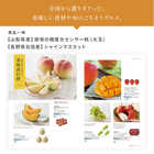 [大和 カタログギフト] ミストラル e-order choice バイロン-C [カードタイプ]