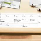 スケジュール付箋 Tag Schedule(タグスケジュール) レッド