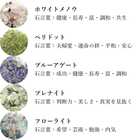 星屑ミニポット 選べるパワーストーンボトル