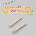 超極小!選べる4色3サイズ超シンプルピアス ピアス
