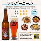 金賞受賞 クラフトビール 6本セット( プレミアムヴィンテージビール入り)