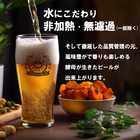 金賞受賞 クラフトビール 6本セット( プレミアムヴィンテージビール入り)