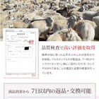 [arcadiarca アルカディアルカ] カシミヤ 100％ クルーネック セーター