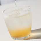 【全国梅酒品評会2024金賞梅酒】原酒梅酒 300ml