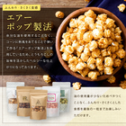 ポップコーン クラフト レギュラー 45g