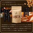 ポップコーン クラフト レギュラー 45g