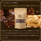 ポップコーン クラフト レギュラー 45g