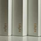 Lilight Shine Muscat