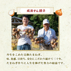 成井さんちの完熟たまねぎ しっとりカレーせんべい