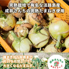 成井さんちの完熟たまねぎ しっとりカレーせんべい