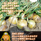 成井さんちの完熟たまねぎ しっとりカレーせんべい