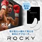 ロッキー アイシート マスク 30P(両目15回分)