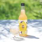 梅酒 ishigami&(イシガミアンド)ゆず 600ml