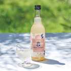 梅酒 ishigami&(イシガミアンド)桃ジンジャー 600ml