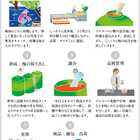 梅酒 ishigami&(イシガミアンド)桃ジンジャー 600ml