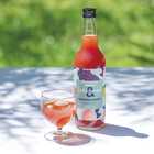 梅酒 ishigami&(イシガミアンド)和歌山サングリア 600ml