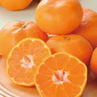 [大和 カタログギフト]  ベストグルメ モーベル [冊子タイプ] 