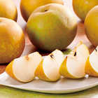 [大和 カタログギフト]  ベストグルメ アレジア [冊子タイプ] 