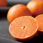 [大和 カタログギフト]  ベストグルメ セルヴァンテス [冊子タイプ] 