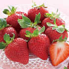 [大和 カタログギフト]  ベストグルメ ボーヴォー [冊子タイプ] 