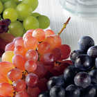 [大和 カタログギフト] ベストグルメ ベルティエ  [冊子タイプ] 