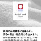 ハンカチ ハンドタオル 今治タオル