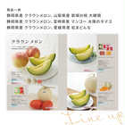 [大和 カタログギフト]  ベストグルメ サンジェルマン [冊子タイプ] 