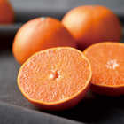 [大和 カタログギフト]  ベストグルメ e-order choice セルヴァンテス-C  [カードタイプ]