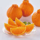 [大和 カタログギフト]  ベストグルメ e-order choice オルデネ-C  [カードタイプ]