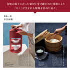 [大和 カタログギフト]  メイドインジャパン MJ21  [冊子タイプ]