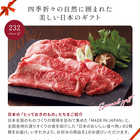 [大和 カタログギフト] メイドインジャパン with 日本のおいしい食べ物 MJ19+藤(ふじ) [冊子タイプ]