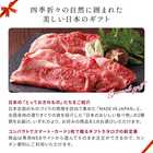 [大和 カタログギフト] メイドインジャパン with 日本のおいしい食べ物 e-order choice C MJ19+藤(ふじ)  [カードタイプ]