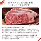 [大和 カタログギフト] メイドインジャパン with 日本のおいしい食べ物 e-order choice C MJ21+柳(やなぎ)  [カードタイプ]