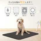 ペット用 おしっこマット ペットシート ペットマット 犬 猫 トイレ マット 60×45cm イヌ ネコ