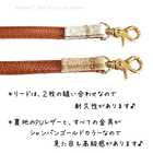 小型犬用/ベスト型ハーネスリード