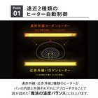 TWINBIRD ツインバード 匠ブランジェトースター TS-D486B オーブントースター