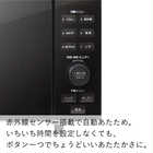 TWINBIRD ツインバード オーブンレンジ 18L ミラーガラス フラット ブラック DR-E857B