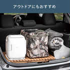 TWINBIRD ツインバード 冷温庫 5.5L HR-EB06W