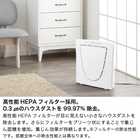 TWINBIRD ツインバード 空気清浄機 ファンディファイン ヘパ AC-4238W