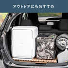 TWINBIRD ツインバード 保冷保温庫 20L HR-EB08W