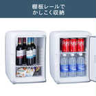 TWINBIRD ツインバード 保冷保温庫 20L HR-EB08W