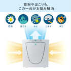 TWINBIRD ツインバード マイナスイオン発生空気清浄機 AC-D358PW